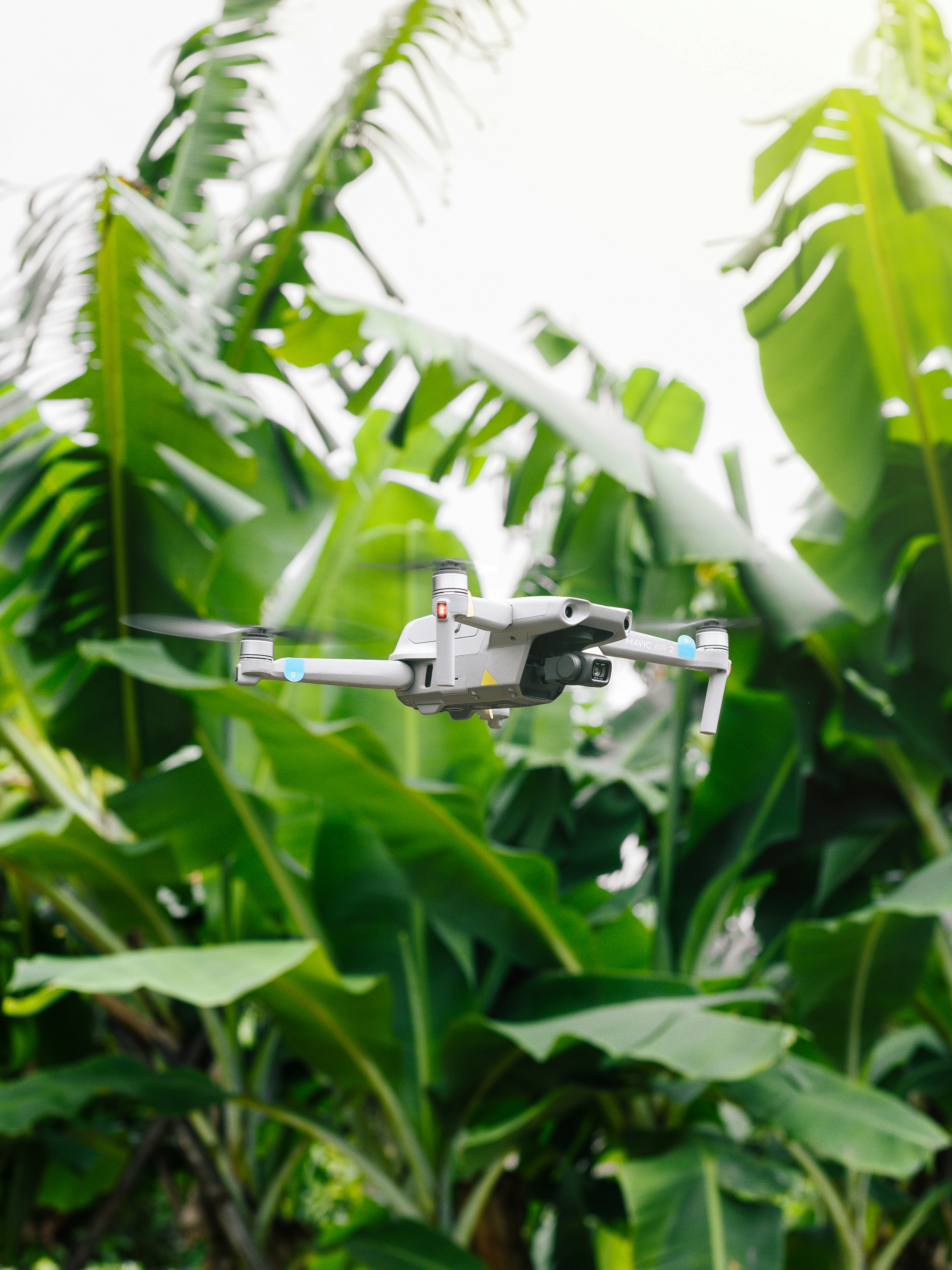 gray and black drone on green plant during daytime